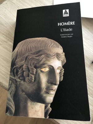 L'Iliade by Homer