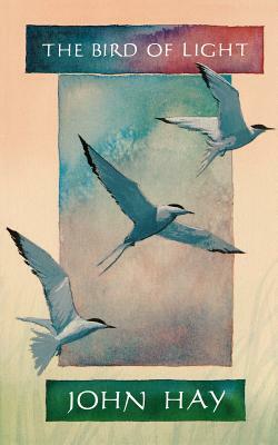 The Bird of Light by John Hay