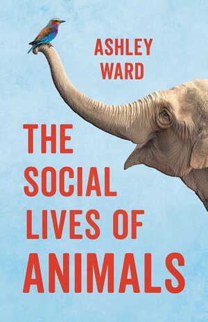 The Social Lives of Animals by Ashley Ward