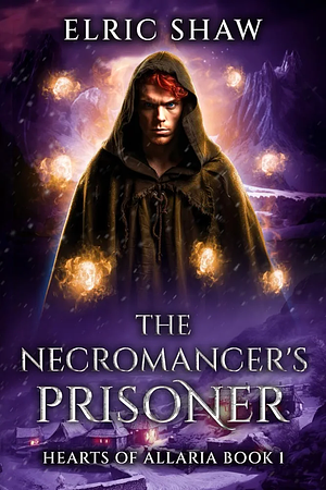 The Necromancer's Prisoner by Elric Shaw