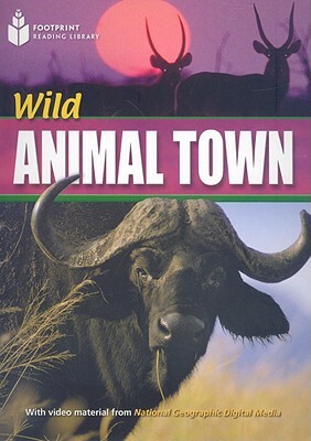 Wild Animal Town by Rob Waring