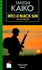 Into a Black Sun: Vietnam, 1964-1965 by Takeshi Kaikō