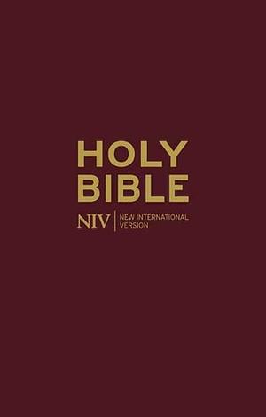 The Jesus Bible(NIV) by Anonymous