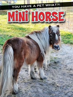 Mini Horse by Ann Matzke