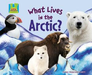 What Lives in the Arctic? by Oona Gaarder-Juntti