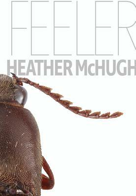 Feeler by Heather McHugh