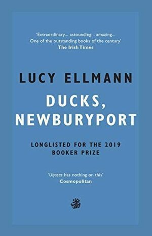 Ducks, Newburyport by Lucy Ellmann