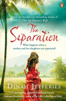The Separation by Dinah Jefferies