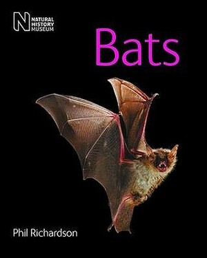 Bats by Phil Richardson