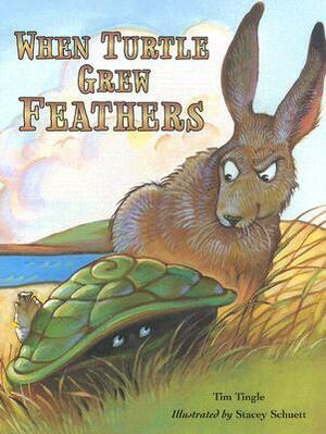 When Turtle Grew Feathers: A Tale from the Choctaw Nation by Tim Tingle