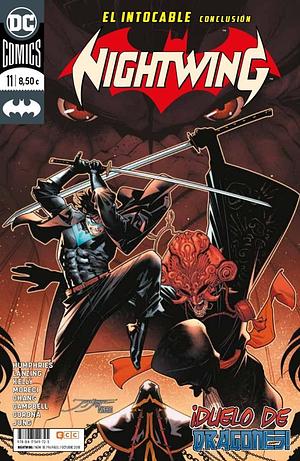 Nightwing, Vol 11 by Dan Jurgens