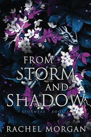 From Storm and Shadow by Rachel Morgan