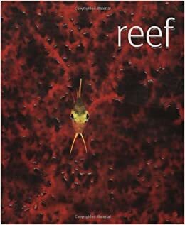 Reef by Thomas Marent