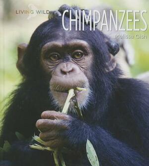 Chimpanzees by Melissa Gish