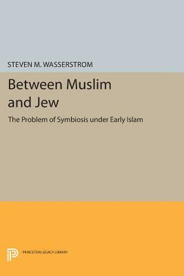 Between Muslim and Jew: The Problem of Symbiosis Under Early Islam by Steven M. Wasserstrom
