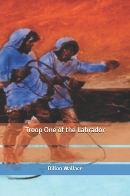 Troop One of the Labrador by Dillon Wallace