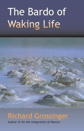 The Bardo of Waking Life by Richard Grossinger