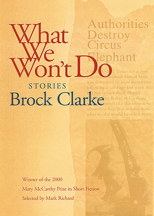 What We Won't Do by Brock Clarke