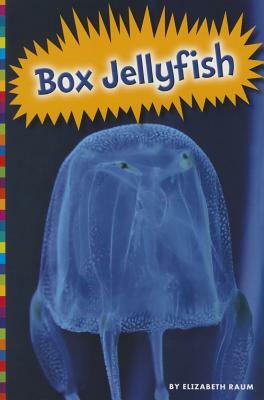 Box Jellyfish by Elizabeth Raum