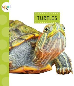 Turtles by Mari Schuh