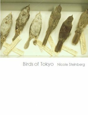 Birds of Tokyo by Nicole Steinberg