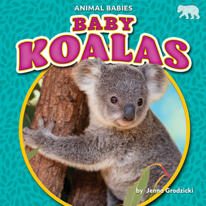 Baby Koalas by Jenna Grodzicki